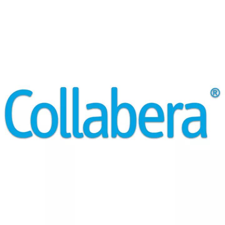 https://www.raketlance.com/company/collabera-technologies-inc